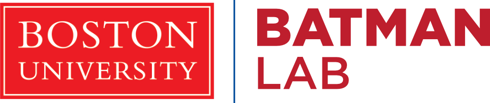 Batman Lab Logo