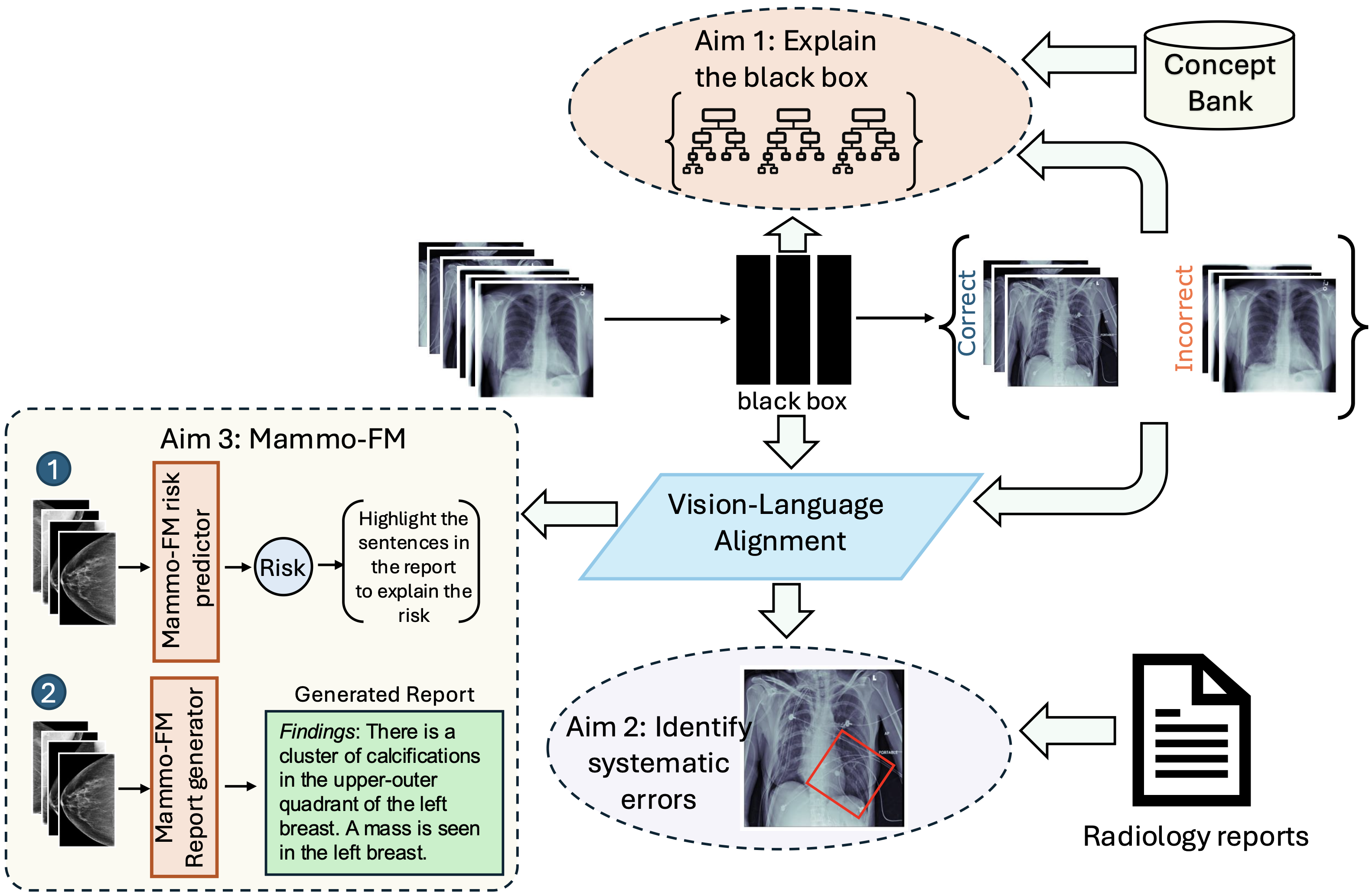 Overview of thesis aims: Aim 1 explain black box, Aim 2 identify systematic errors using radiology reports, Aim 3 Mammo-FM for risk prediction and report generation via vision-language alignment.