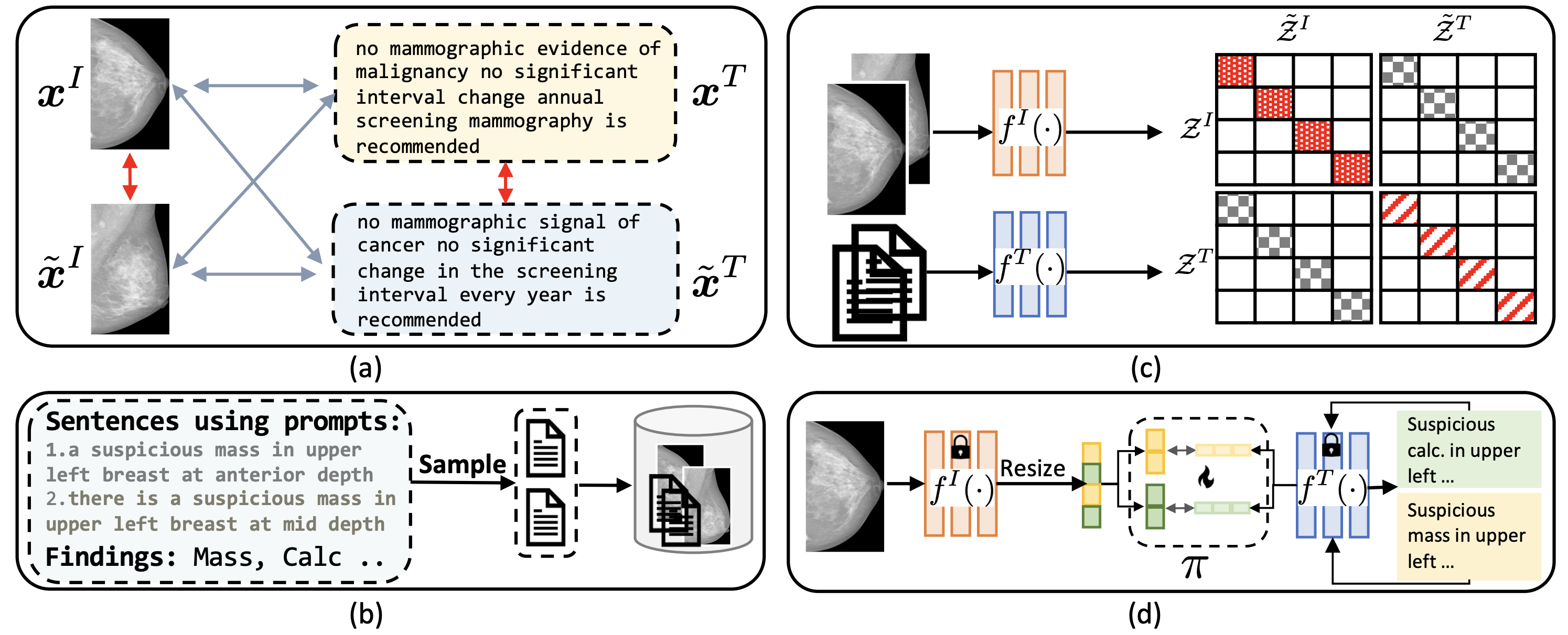 Mammo-CLIP Schematic