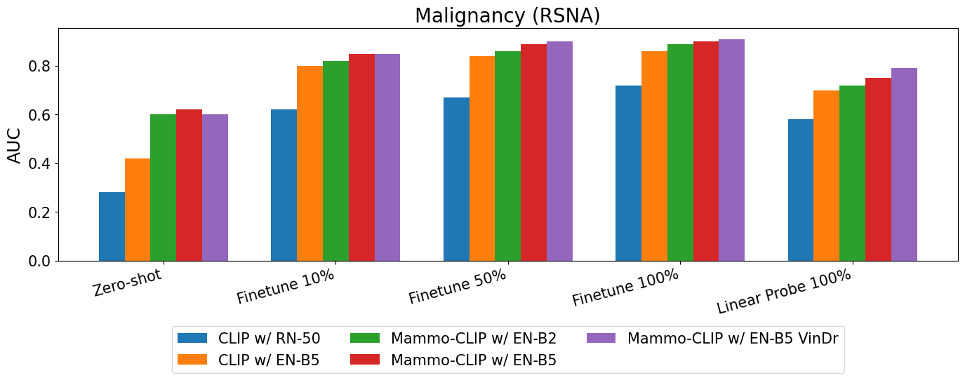 Classification Performance on RSNA Dataset